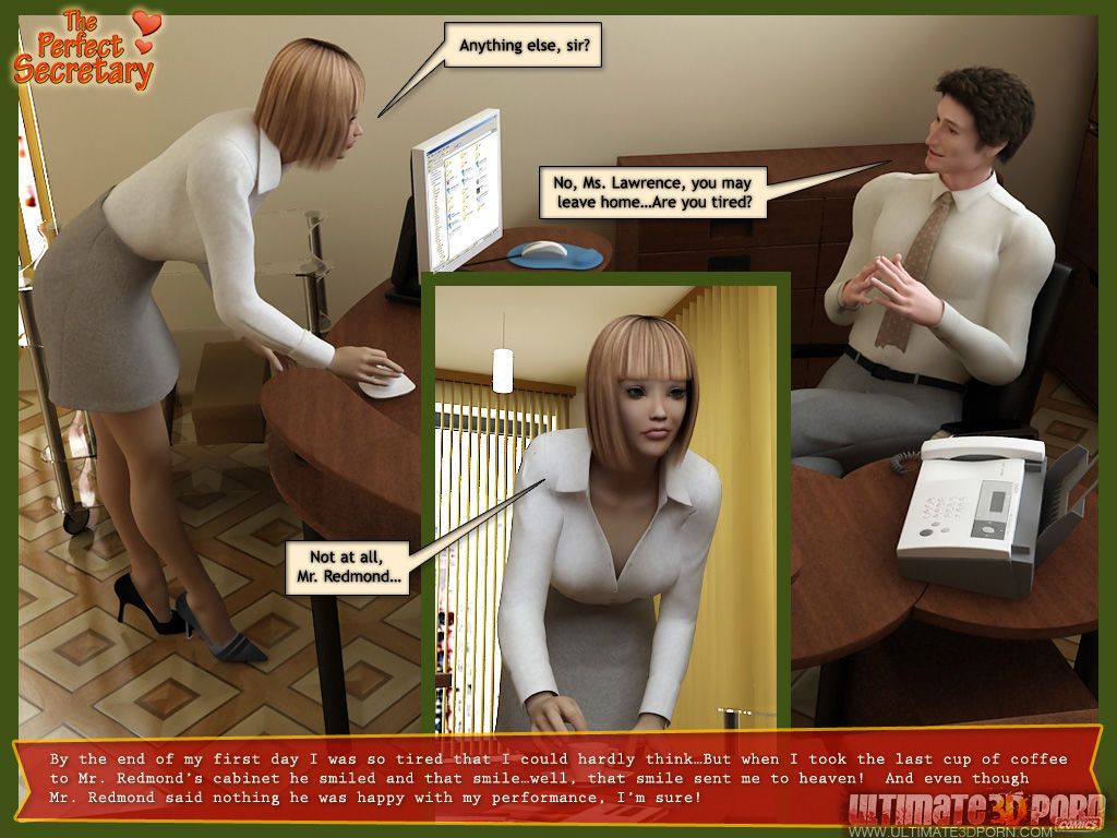[3D] The Perfect Secretary