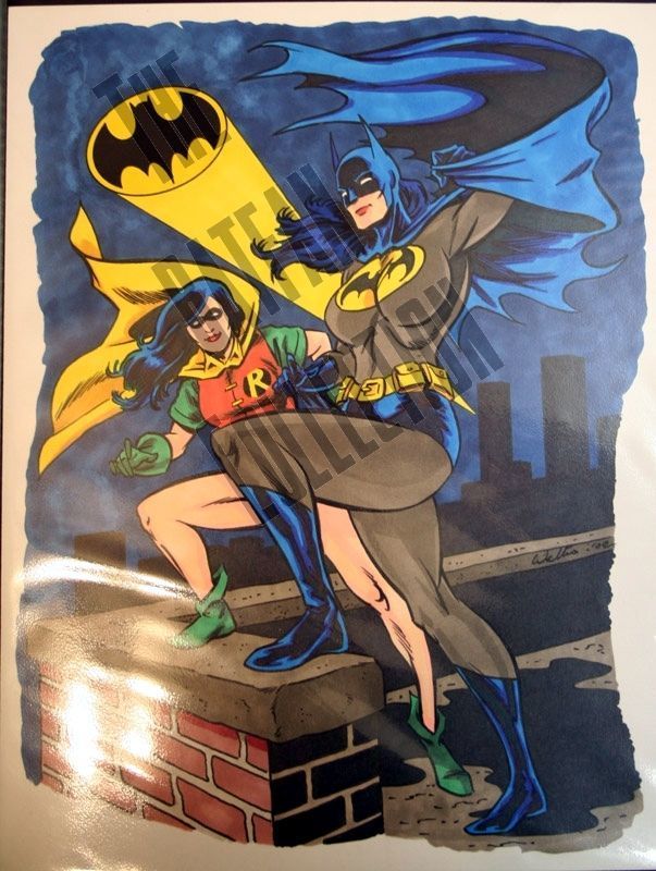 tebra 艺术品 蝙蝠侠 和 超人 一部分 2