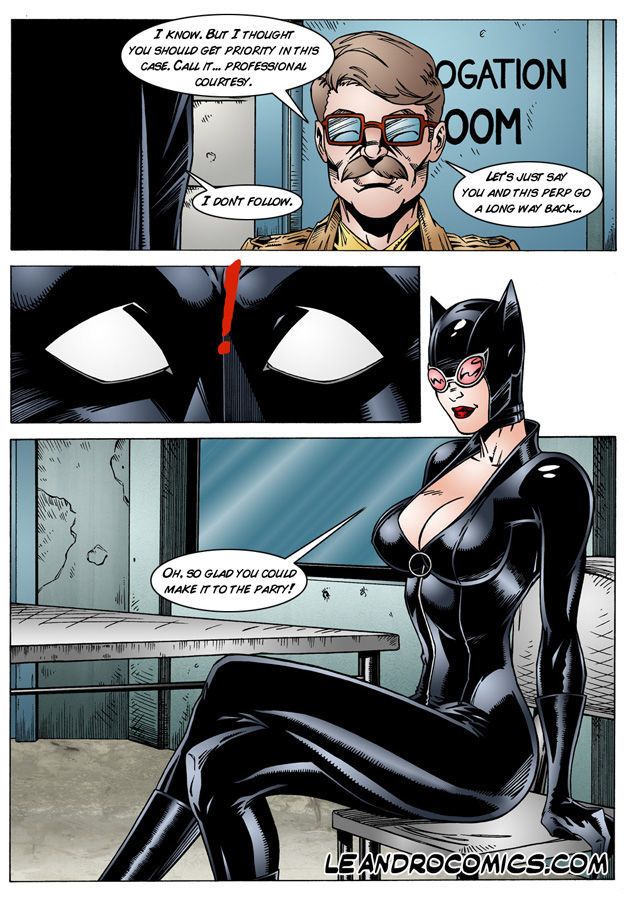 莱安德罗*德 漫画 蝙蝠侠 和 猫女