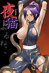 (comic kasteel 2005) nagaredamaya (bang you) yoruneko (bleach) Ero otoko