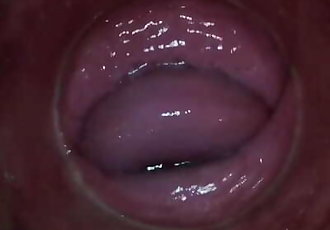 PJGIRLS - Camera deep inside Paula Shys vagina