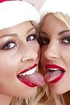 Zoey Monroe e Kayla Kayden são jogar com seus especiais dildos