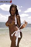 schwarz Mama nikki Jaye befreien riesige juggs aus bikini im freien auf Strand