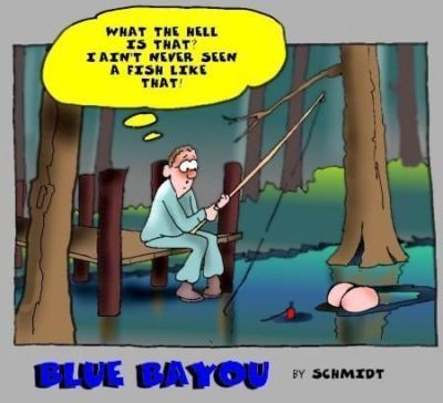 Bobby schmidt Blauw bayou